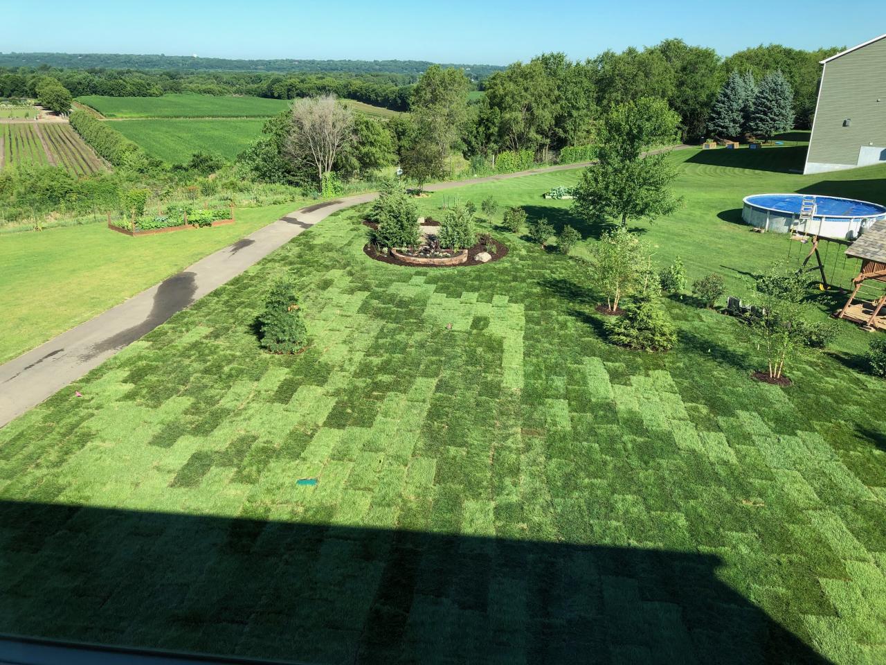 Last lawn of the neighborhood is installed