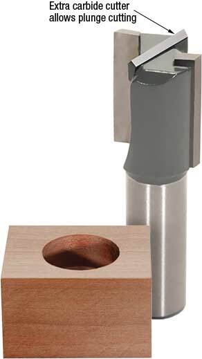 Click image for larger version

Name:	plunge_cut_straight.jpg
Views:	1237
Size:	12.3 KB
ID:	842767