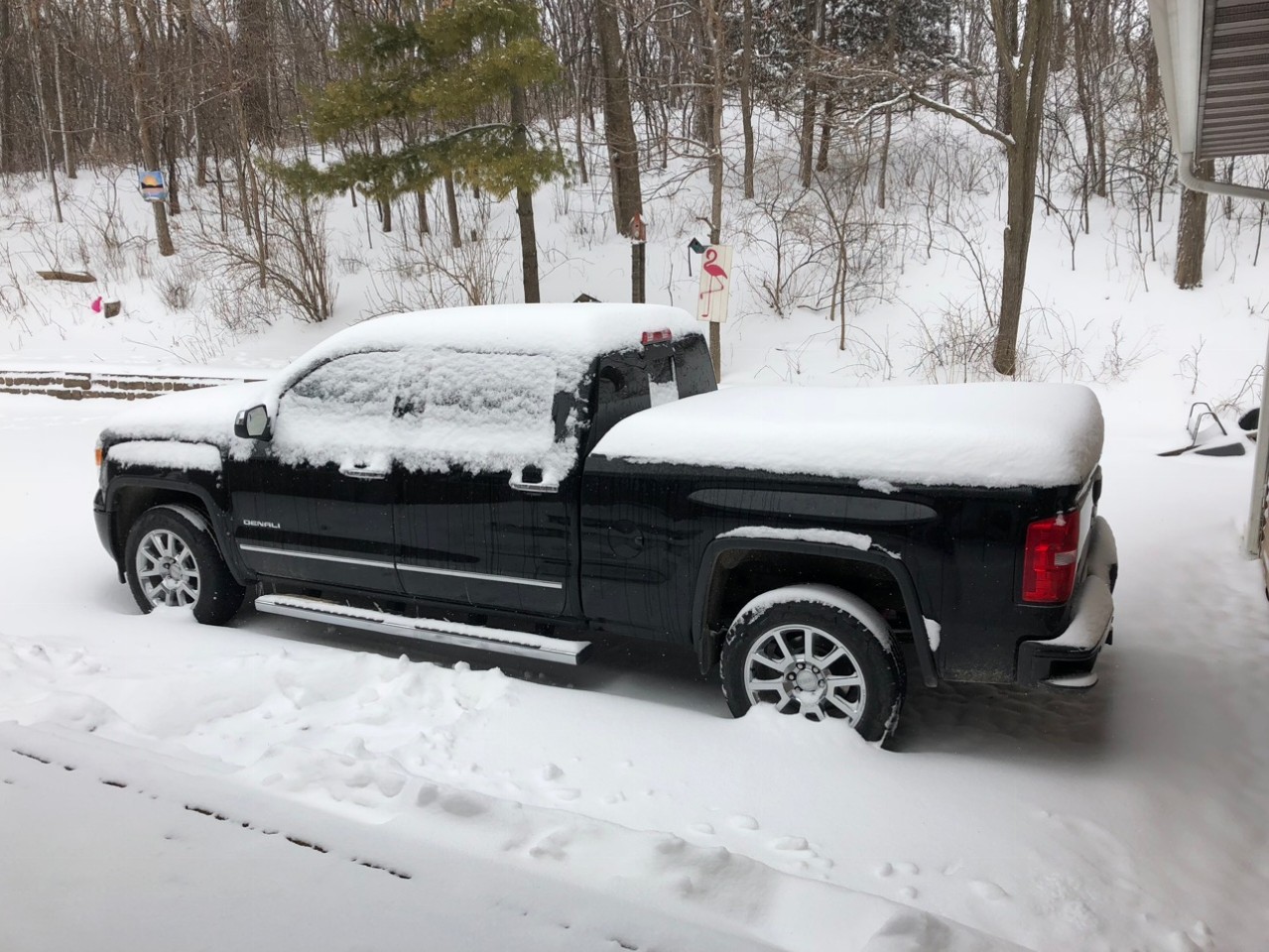 Halfway through our spirng snow storm
