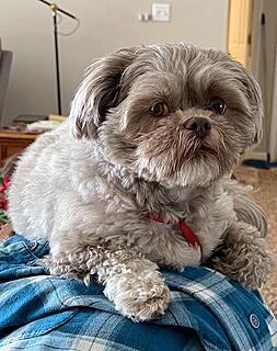 Click image for larger version

Name:	Hershey.jpg
Views:	288
Size:	148.7 KB
ID:	858114