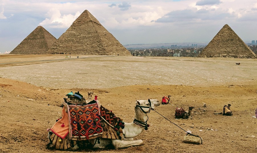 Click image for larger version

Name:	IMG_20181228_135812~2-901x538.jpg
Views:	89
Size:	194.8 KB
ID:	835726