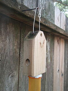 Click image for larger version  Name:	P9151106.jpg Views:	0 Size:	90.2 KB ID:	852347