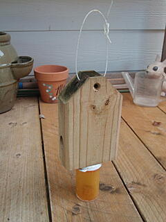 Click image for larger version  Name:	P9151107.jpg Views:	0 Size:	72.0 KB ID:	852343