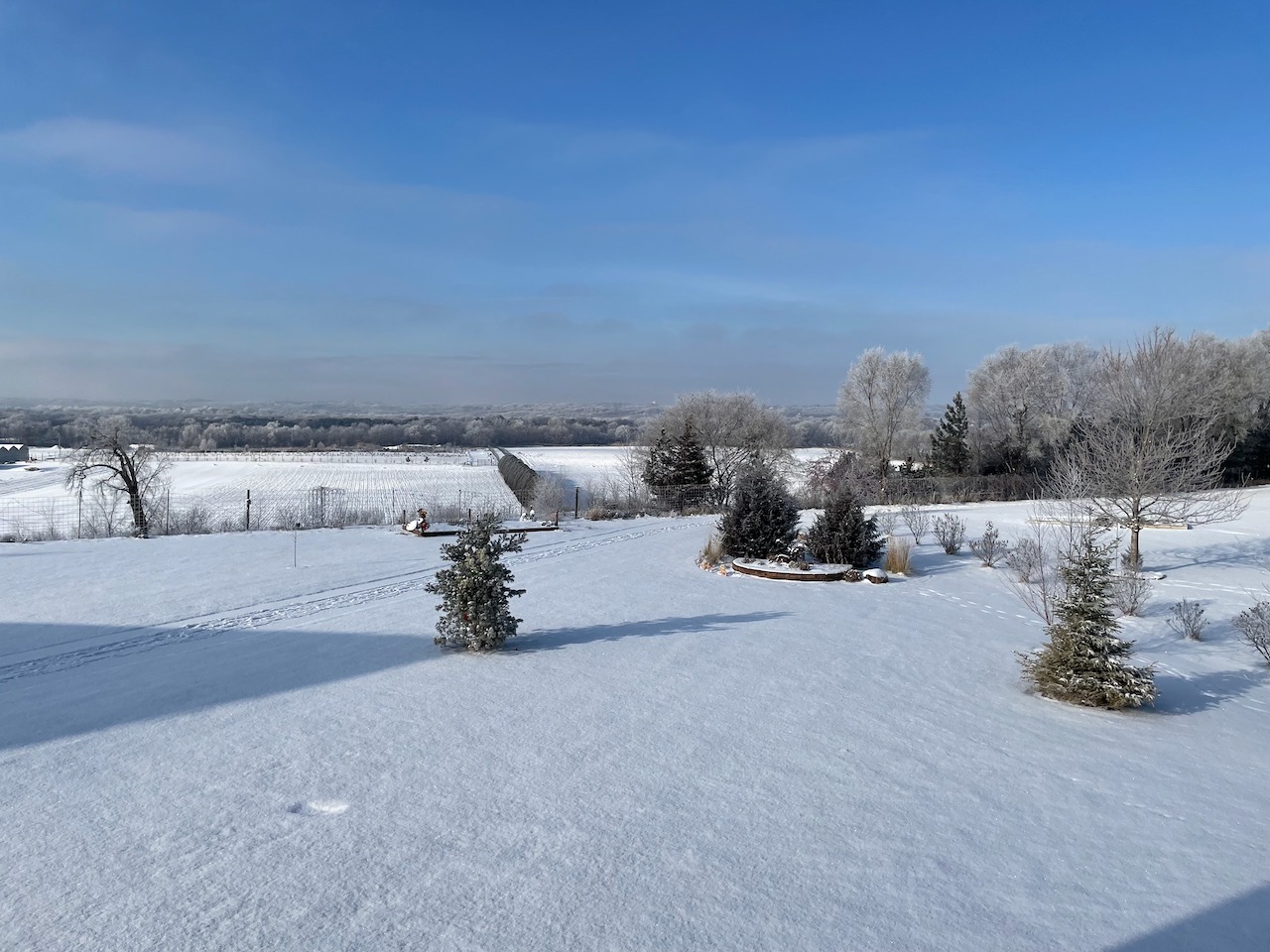 Click image for larger version

Name:	MorningSnow.jpeg
Views:	196
Size:	310.9 KB
ID:	846582