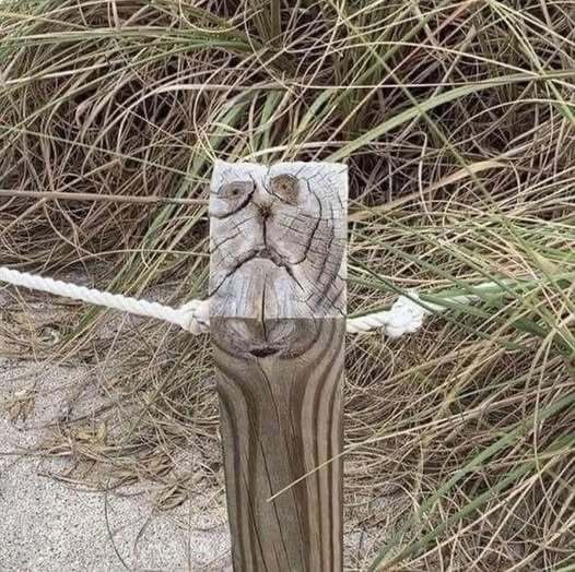 Click image for larger version  Name:	face in wood grain post.jpg Views:	0 Size:	69.3 KB ID:	861818