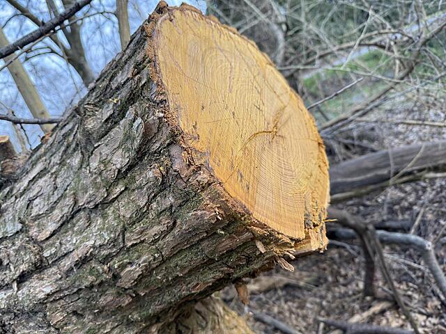 Click image for larger version

Name:	OO 1.jpg
Views:	19
Size:	209.4 KB
ID:	862479