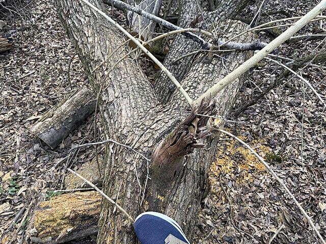 Click image for larger version

Name:	OO 5.jpg
Views:	17
Size:	342.2 KB
ID:	862480