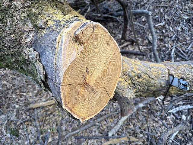 Click image for larger version

Name:	OO 2.jpg
Views:	17
Size:	232.6 KB
ID:	862481