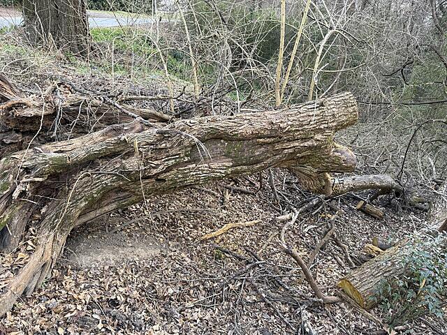 Click image for larger version

Name:	OO4.jpg
Views:	17
Size:	466.7 KB
ID:	862482