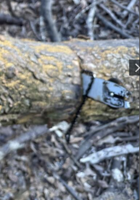 Click image for larger version

Name:	image.png
Views:	14
Size:	570.5 KB
ID:	862485