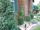 Click image for larger version

Name:	Dscf0660.jpg
Views:	352
Size:	72.1 KB
ID:	779858