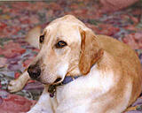 Click image for larger version

Name:	ralf small.jpg
Views:	205
Size:	25.6 KB
ID:	779901