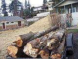 Click image for larger version

Name:	100_2456.JPG
Views:	210
Size:	63.0 KB
ID:	780255
