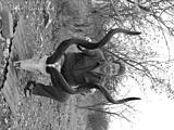 Click image for larger version

Name:	10220036.JPG
Views:	128
Size:	1.56 MB
ID:	781950