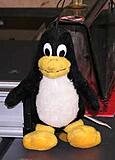 Click image for larger version

Name:	Tux reduced.jpg
Views:	523
Size:	21.5 KB
ID:	782210