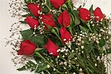 Click image for larger version

Name:	roses.jpg
Views:	135
Size:	48.0 KB
ID:	783503