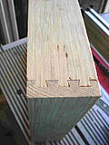 Click image for larger version

Name:	dove 2.jpg
Views:	175
Size:	207.6 KB
ID:	783604