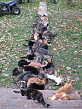 Click image for larger version

Name:	IMG_0863-2.JPG
Views:	207
Size:	111.0 KB
ID:	783623