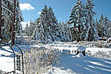 Click image for larger version

Name:	Snow5.jpg
Views:	174
Size:	127.7 KB
ID:	783950