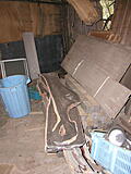 Click image for larger version

Name:	Kaki 2.JPG
Views:	191
Size:	1.25 MB
ID:	784552