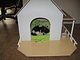 Click image for larger version

Name:	Curley 003.jpg
Views:	165
Size:	1.32 MB
ID:	784581