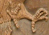 Click image for larger version

Name:	clawdetail.jpg
Views:	235
Size:	23.5 KB
ID:	784709