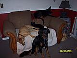 Click image for larger version

Name:	100_3346.JPG
Views:	233
Size:	299.6 KB
ID:	784739