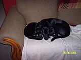 Click image for larger version

Name:	100_3335.JPG
Views:	176
Size:	380.1 KB
ID:	784740