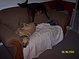 Click image for larger version

Name:	100_3342.JPG
Views:	217
Size:	302.4 KB
ID:	784741