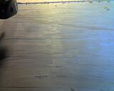 Click image for larger version

Name:	Photo_022810_003.jpg
Views:	197
Size:	145.0 KB
ID:	785132