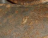 Click image for larger version

Name:	Flap Underside.jpg
Views:	195
Size:	172.1 KB
ID:	785263
