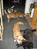 Click image for larger version

Name:	IMG_3193.JPG
Views:	307
Size:	158.8 KB
ID:	785777