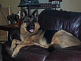 Click image for larger version

Name:	willy pics eyes fixed.jpg
Views:	252
Size:	143.5 KB
ID:	785852