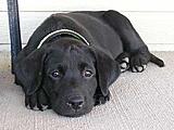 Click image for larger version

Name:	pict3018.jpg
Views:	203
Size:	15.2 KB
ID:	788374