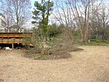Click image for larger version

Name:	DSCN0335.JPG
Views:	192
Size:	25.8 KB
ID:	788625