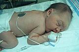 Click image for larger version

Name:	Ahna1.JPG
Views:	372
Size:	18.2 KB
ID:	788708