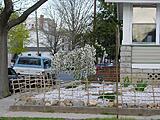 Click image for larger version

Name:	fence2.JPG
Views:	284
Size:	86.7 KB
ID:	788974