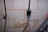Click image for larger version

Name:	Mold.jpg
Views:	339
Size:	76.7 KB
ID:	788997
