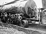 Click image for larger version

Name:	tree - big.jpg
Views:	386
Size:	38.6 KB
ID:	789374