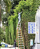 Click image for larger version

Name:	ladders.jpg
Views:	132
Size:	97.1 KB
ID:	789605