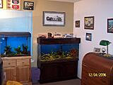 Click image for larger version

Name:	new tank 023.JPG
Views:	294
Size:	50.8 KB
ID:	789692