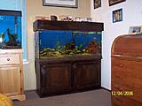 Click image for larger version

Name:	new tank 026.JPG
Views:	286
Size:	53.1 KB
ID:	789694