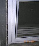 Click image for larger version

Name:	Basement window outside.jpg
Views:	232
Size:	46.2 KB
ID:	789807