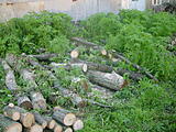 Click image for larger version

Name:	dsc00139.jpg
Views:	273
Size:	60.5 KB
ID:	790750