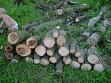 Click image for larger version

Name:	dsc00138.jpg
Views:	242
Size:	60.7 KB
ID:	790751