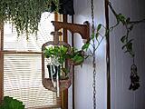 Click image for larger version

Name:	dsc001758.JPG
Views:	329
Size:	45.5 KB
ID:	790974