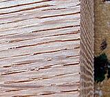 Click image for larger version

Name:	IMG_5744_detail.jpg
Views:	1569
Size:	61.9 KB
ID:	791400