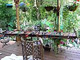 Click image for larger version

Name:	P1013483 r 9-8-08.JPG
Views:	276
Size:	144.5 KB
ID:	792901