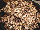 Click image for larger version

Name:	Shavings 1.jpg
Views:	188
Size:	600.9 KB
ID:	793115