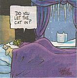 Click image for larger version

Name:	Cat.jpg
Views:	203
Size:	49.2 KB
ID:	793305